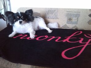 bd2iEgKxfzQb3cSMBpHlsBtWKBOibBBeYH3rLmbvwhw