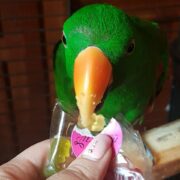 KiuxKeOxZe1aekOxPQ6JlpCwxVXTdbjxefbom5U8dHo