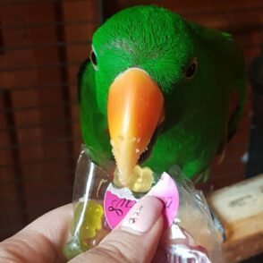 KiuxKeOxZe1aekOxPQ6JlpCwxVXTdbjxefbom5U8dHo